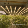 LED Spectrum LED เต็มไฟพืชผัก